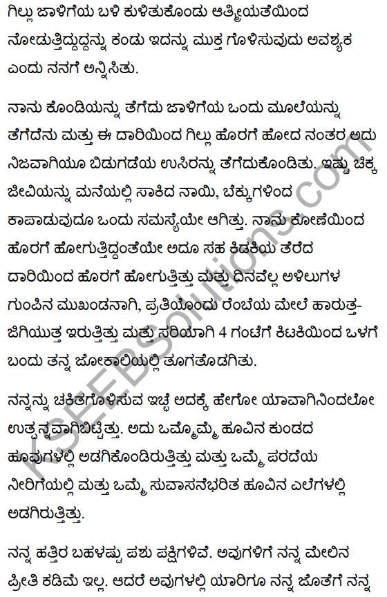 गिल्लू Summary in Kannada 4