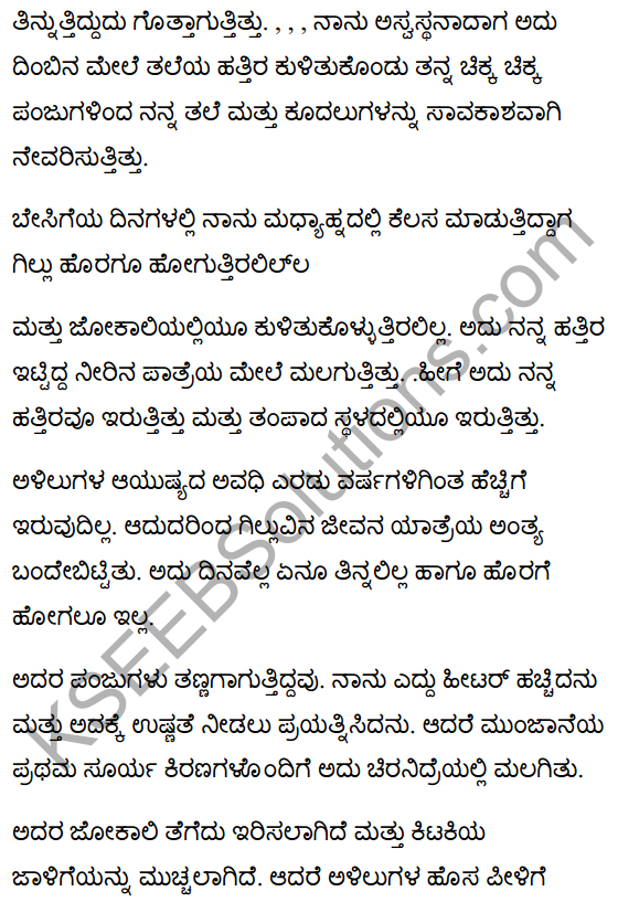 गिल्लू Summary in Kannada 7