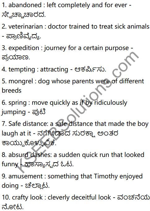 A Tiger in the House Summary in Kannada 3