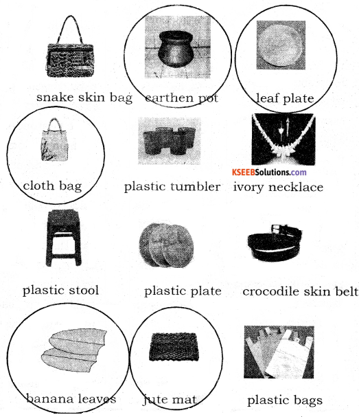 Avoid Plastics Summary In English 2