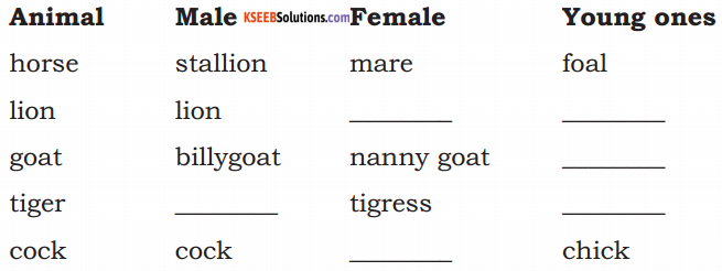 KSEEB Solutions for Class 6 English Prose Chapter 5 A Chat with a Grasshopper 4