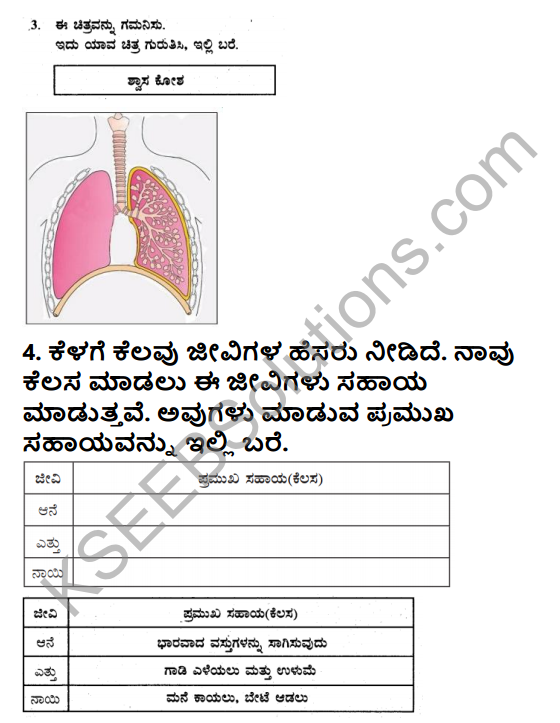 KSEEB Solutions for Class 5 EVS Chapter 1 Living World in Kannada 3
