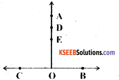 KSEEB Solutions for Class 6 Maths Chapter 4 Basic Geometrical Ideas Ex 4.3 4