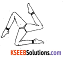 KSEEB Solutions for Class 7 Maths Chapter 14 Symmetry Ex 14.2 9