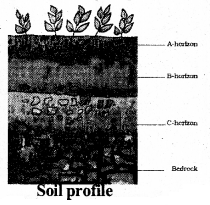 KSEEB Solutions for Class 7 Science Chapter 9 Soil 27