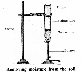 KSEEB Solutions for Class 7 Science Chapter 9 Soil 31
