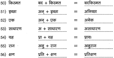 2nd PUC Hindi Workbook Answers व्याकरण उपसर्ग 8