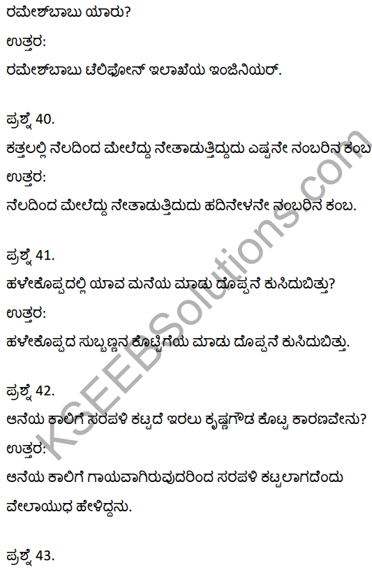 2nd PUC Kannada Textbook Answers Sahitya Sampada Chapter 21 Krishna Gowdana Aane 11