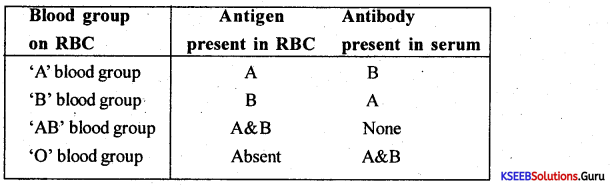 1st PUC Biology Previous Year Question Paper March 2020 (South) 1